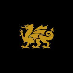 Cambria Surfaces Avatar