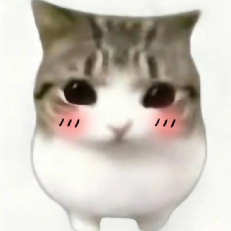 Soda Meow
