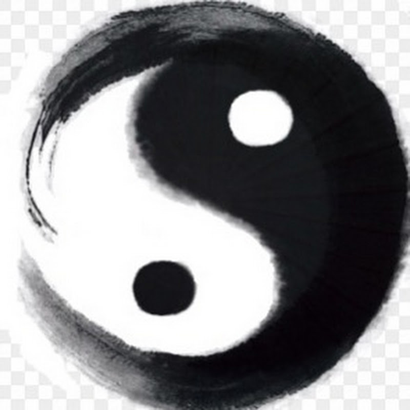 玄学炒股日记