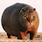 Gato Hipopótamo