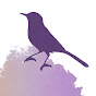 Purple Blackbird Music