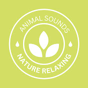 Relaxing Animal Sounds