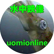 うおみオンライン