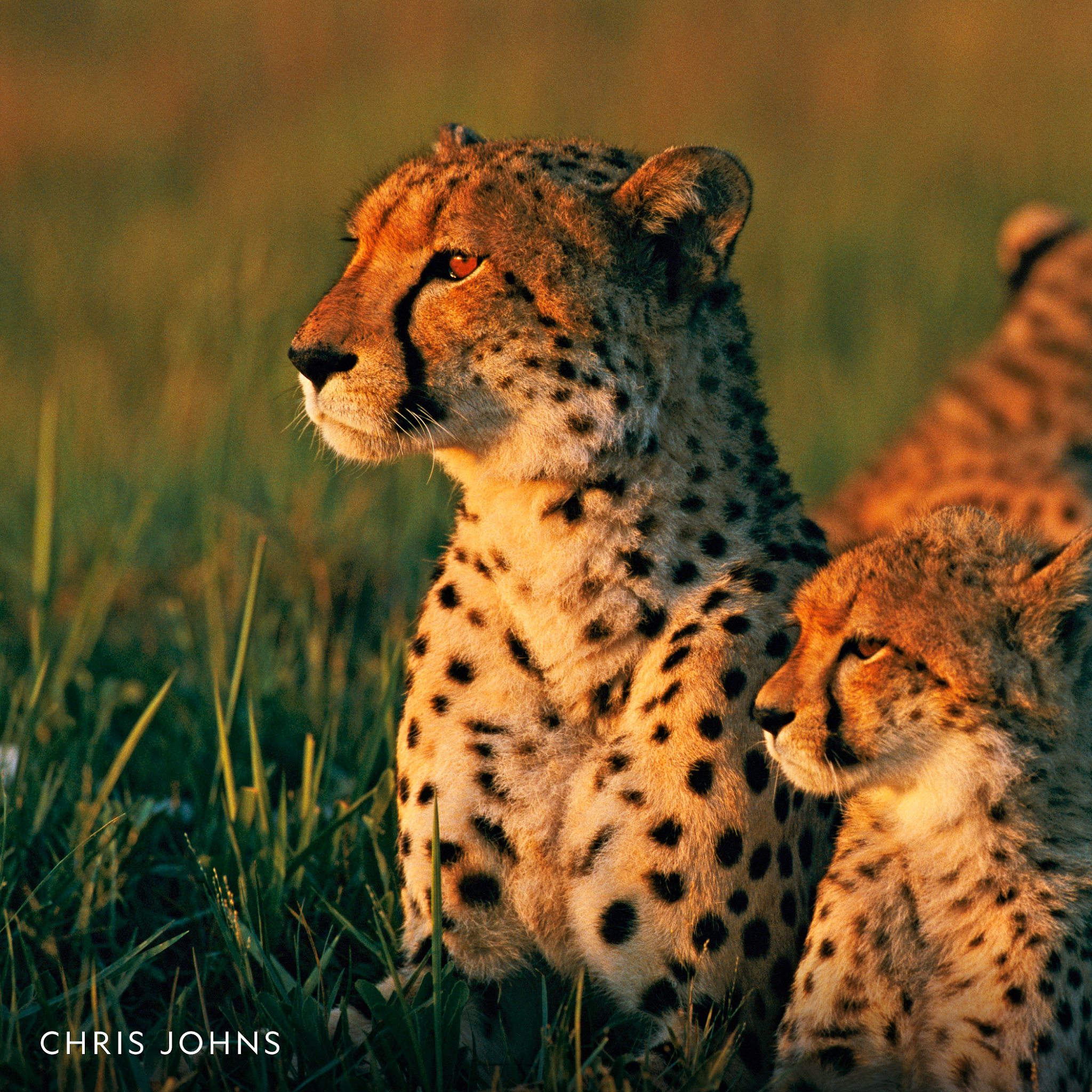 Post from National Geographic