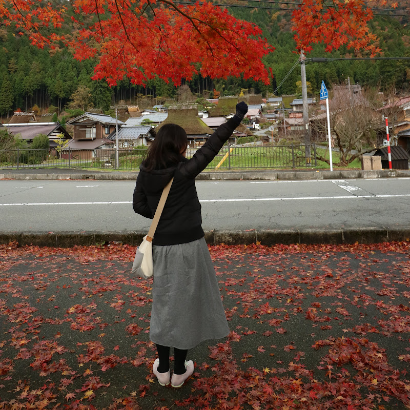 14旅途中有意思