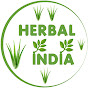 LEarning INDIA  logo