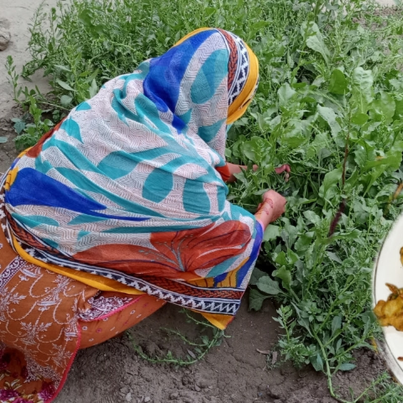 Saima's Kitchen Corner