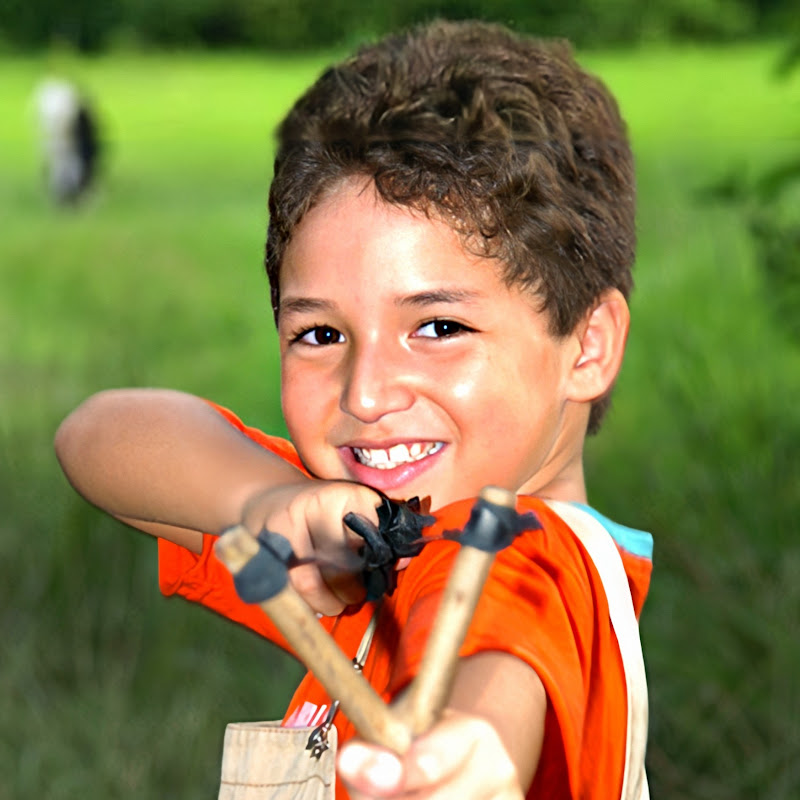 Central do Picapau Amarelo