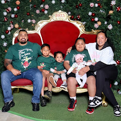 The Vee Family net worth