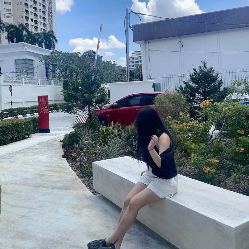 여행하는 홀리 holy