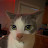 @Krod5484 Avatar