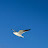 @931NoOneFromNowher Avatar