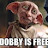 @dobby.is.free.
