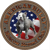 American Bully Moscow Kennel Club (питомник собак)