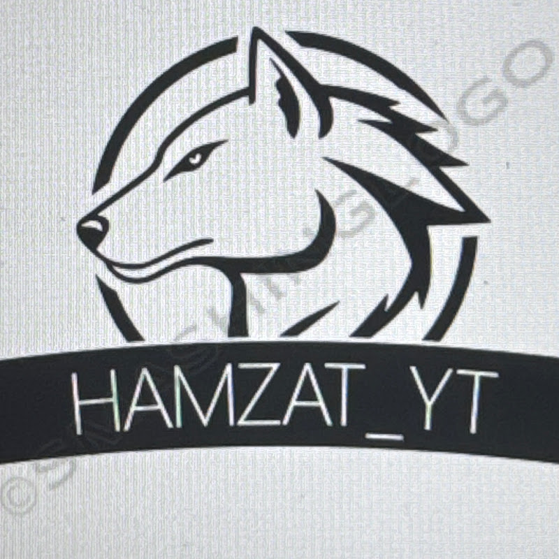 Hire hamzat_yt — Health & Fitness YouTube creator for sponsorships