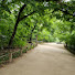 dv60tT4Ay6g-channel-avatar-Rainy days & casual walks