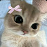 XnaAf2WwQOA-channel-avatar-Little Mộng Time