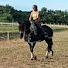_ouuk75ABN4-channel-avatar-L'Ippocampo - Silvia Cucchi