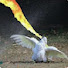 QMcb3Rr9mh0-channel-avatar-Kutotiki