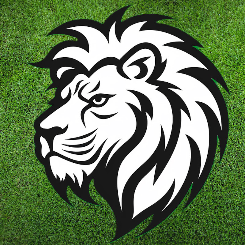 Home Team Heroes: The Football Card Game (TCG) 