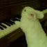 kghaSV9w1oE-channel-avatar-babotokki