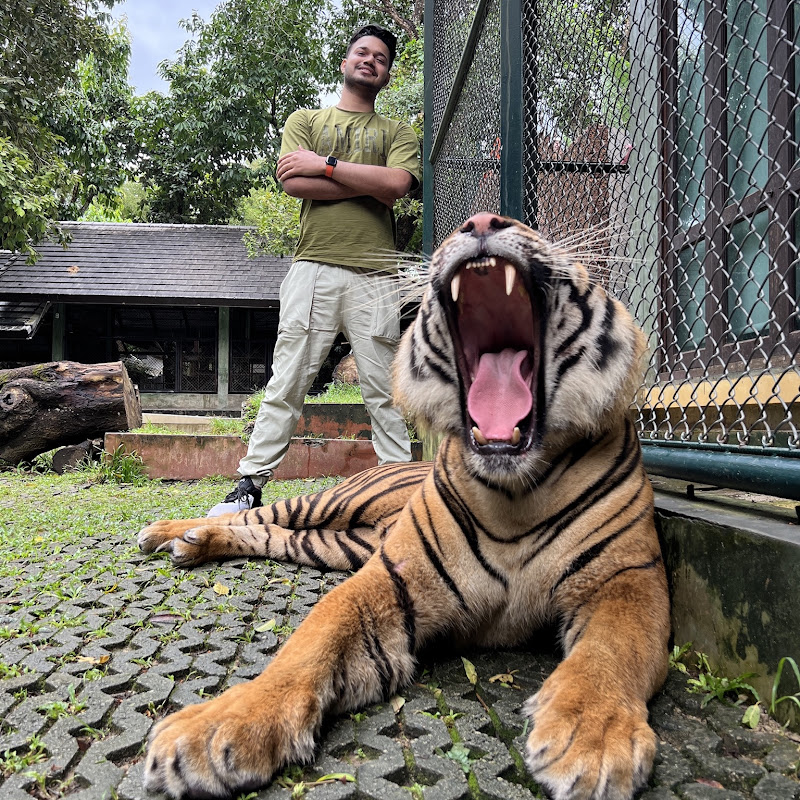 Crypto Trader Life