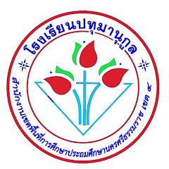Patumanukul NST 4
