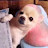 @파쿤