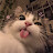 @رقيهمحمد-ه3ق2ط