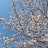 @user-gt5xh9cv3c