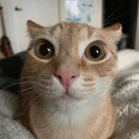 e_dg profile image