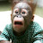 @Cammy-sn's avatar