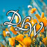 dWKnqBaDooM-channel-avatar-Daily Living Worship