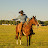 Startup Cowboy