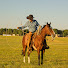 9v7R1o_DUlU-channel-avatar-Startup Cowboy