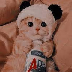 funnyanimalss