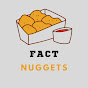 Fact Nuggets logo