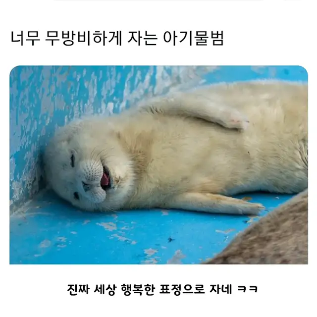 BlockNote image