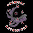 zAoT0TcpIxA-channel-avatar-Cronicas Entropicas and Rollin Insanity
