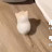 @user-yx7fj4hx3x