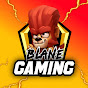 Blane Gaming