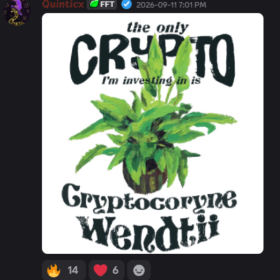 Community post