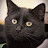 @bigstick5278's avatar