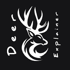 Deer Explainer