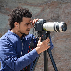 Hossam Alqoliaa