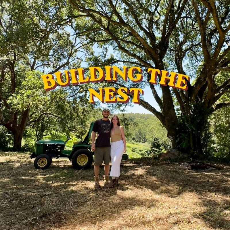 Building The Nest icon
