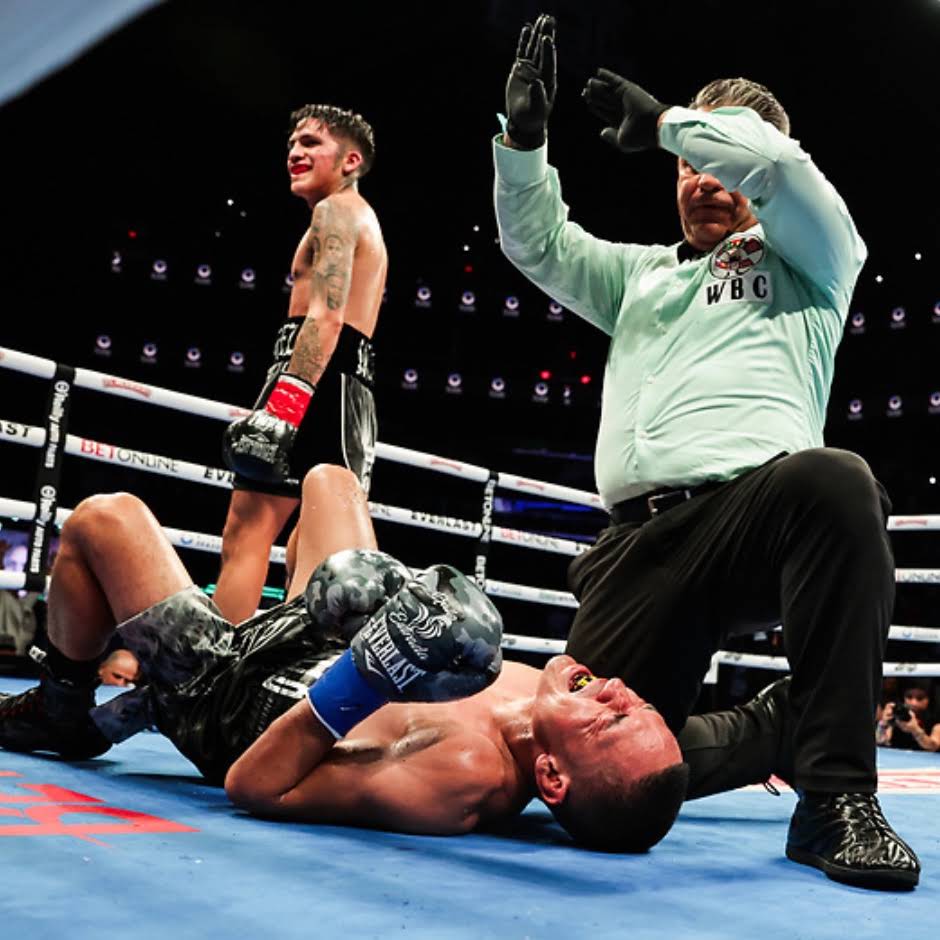 Post from Safari Boxing