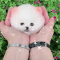 Miniature