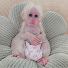 jnj9LuaW8Ws-channel-avatar-Monkey Ri Ri