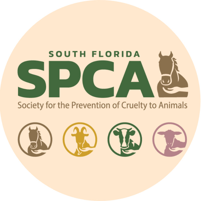 South Florida SPCA Horse Rescue